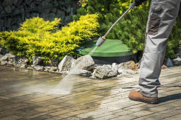 Best Pool Deck Cleaning  in Shepherd, TX