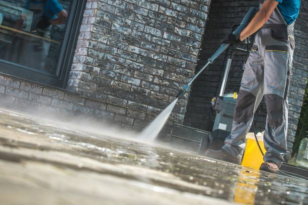 Best House Exterior Washing  in Shepherd, TX