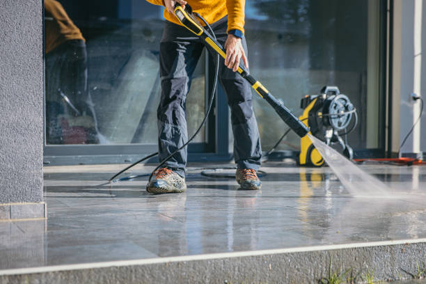 Best Roof Washing  in Shepherd, TX
