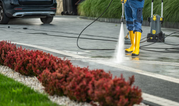 Best Spring Cleaning  in Shepherd, TX